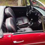 New leather custom seats Moss panels