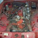 Stripping engine compartment