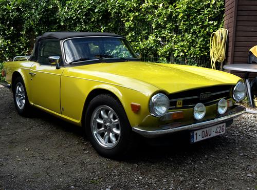 Bullystier Jack Nelissen