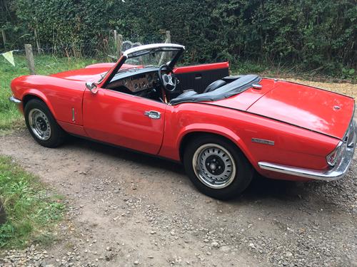 Planefreaky Noel Starling