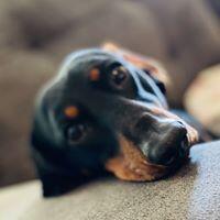 MGaaron Aaron Golightly