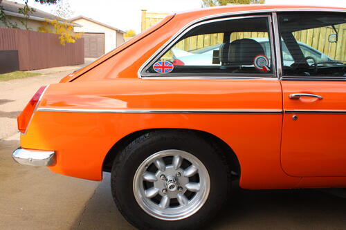 scham Steve Chambers