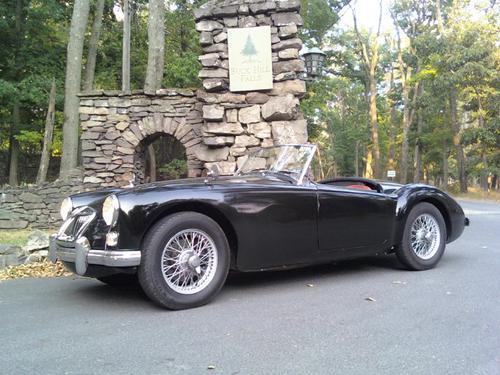 MGA1962 DAVID JONES