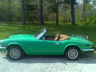 petertrv2 peter travostino