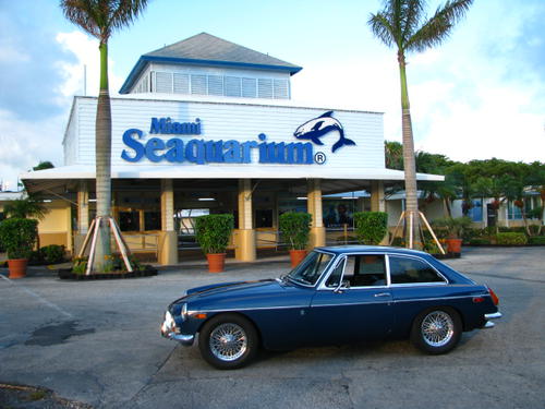 forestghost07 Marco Sinai