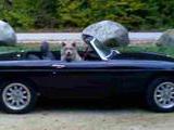 1978 MG MGB Black Blair Weiss