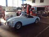 1962 MG MGA MkII Deep Blue Pearl Rod T