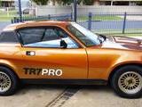 1980 Triumph TR7 Mica Tiger Pro Car Colours Larry Mundell