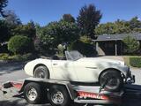 1964 Austin Healey 3000 BJ8 Ivory Robert Wissenz