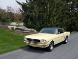 1966 Ford Mustang Springtime Yellow George Snow